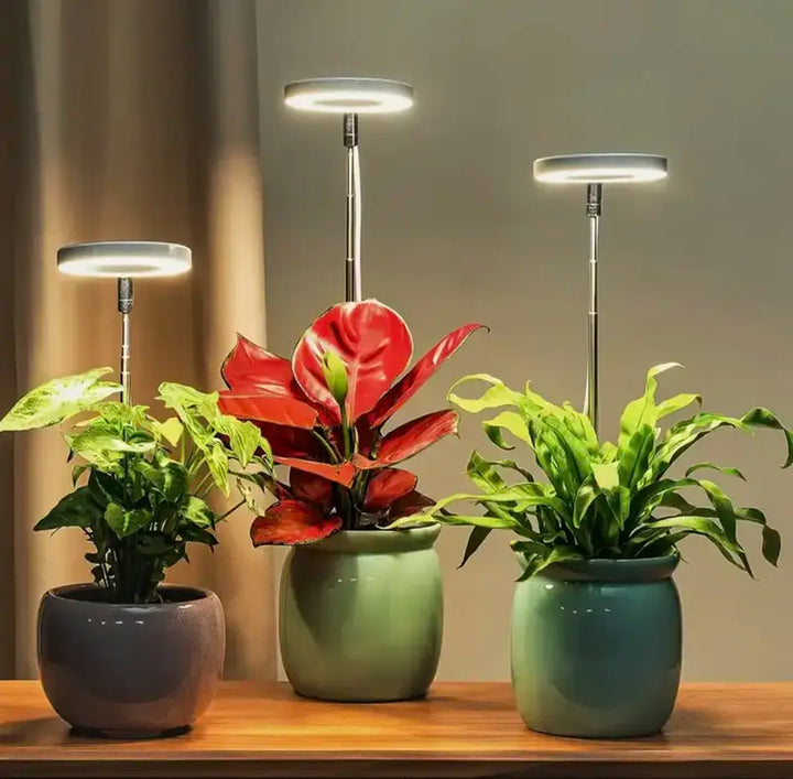 Iliana - Lampada a LED per piante regolabile