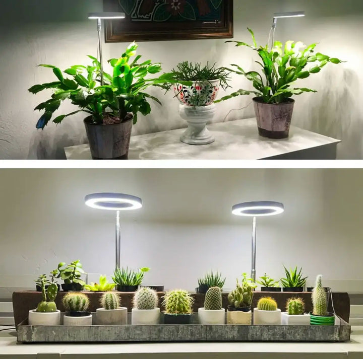 Iliana - Lampada a LED per piante regolabile