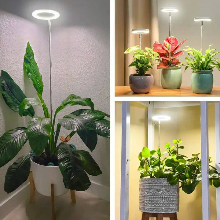 Iliana - Lampada a LED per piante regolabile